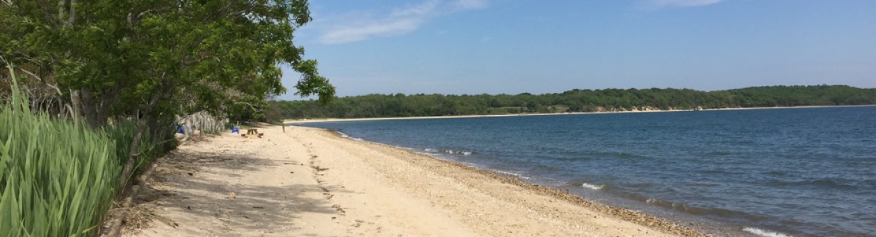 View Towards Mashomack Nature Preserve